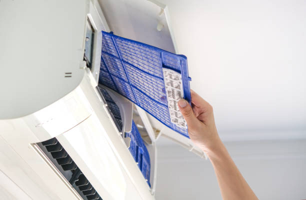 Best Air Duct Mold Removal  in Margate, FL